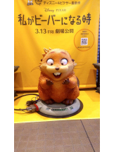 DREAM BEACH - もえの女の子ブログ画像