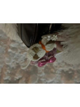 まいっちんぐ - ひな先生の女の子ブログ画像