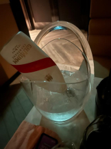 まいっちんぐ - ひな先生の女の子ブログ画像