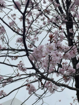 CanGaku昼の部　オープンキャンパス - ゆうなの女の子ブログ画像