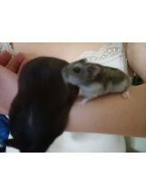 サッポロ ガーデン - りおの女の子ブログ画像