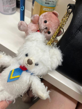 まいっちんぐ - おとは先生の女の子ブログ画像