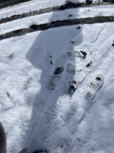 まいっちんぐ - おとは先生の女の子ブログ画像