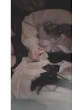 ばすたぶ - すずの女の子ブログ画像