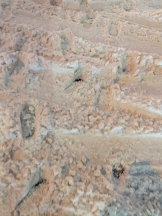 EN女医 - Dr,まこの女の子ブログ画像