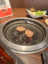 EN女医 - Dr.ゆきねの女の子ブログ画像