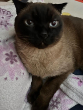 EN女医 - Dr.ゆきねの女の子ブログ画像