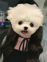 MOETTA - みわの女の子ブログ画像