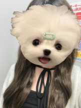 MOETTA - みわの女の子ブログ画像