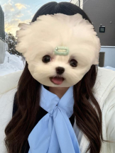 MOETTA - みわの女の子ブログ画像