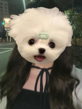 MOETTA - みわの女の子ブログ画像