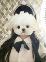 MOETTA - みわの女の子ブログ画像