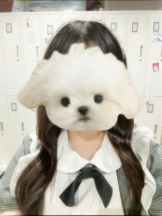 MOETTA - みわの女の子ブログ画像