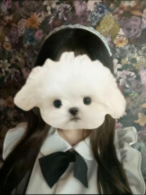 MOETTA - みわの女の子ブログ画像