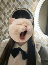 MOETTA - みわの女の子ブログ画像