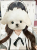 MOETTA - みわの女の子ブログ画像
