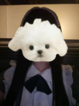 MOETTA - みわの女の子ブログ画像