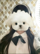 MOETTA - みわの女の子ブログ画像