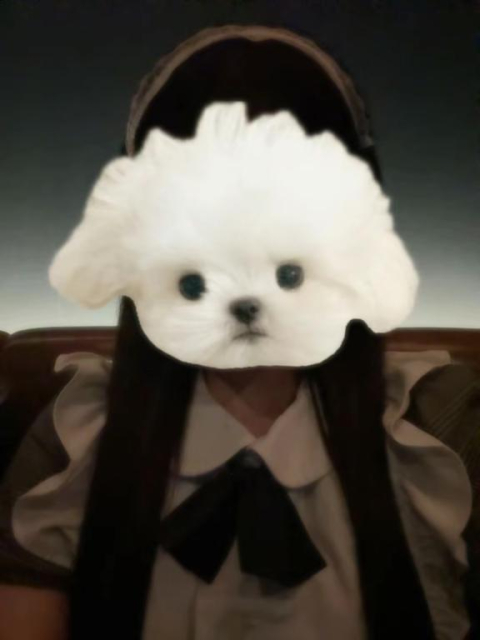 女の子ブログ添付画像1