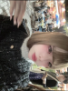 おと