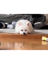 EN女医 - Dr.つきのの女の子ブログ画像