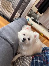 EN女医 - Dr.つきのの女の子ブログ画像