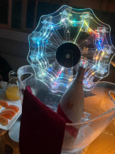 EN女医 - Dr.つきのの女の子ブログ画像