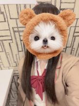 CanGaku - こころの女の子ブログ画像