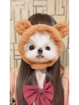CanGaku - こころの女の子ブログ画像