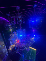 バニーハント - あいの女の子ブログ画像