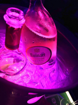 バニーハント - みなの女の子ブログ画像