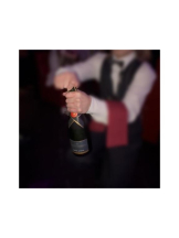 バニーハント - みなの女の子ブログ画像