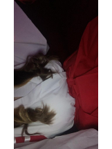 バニーハント - さあやの女の子ブログ画像