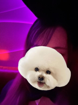 バニーハント - りりの女の子ブログ画像