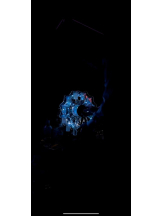 バニーハント - りりの女の子ブログ画像