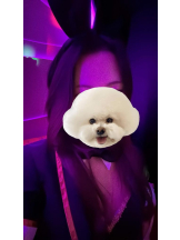 バニーハント - りりの女の子ブログ画像