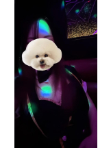 バニーハント - りりの女の子ブログ画像