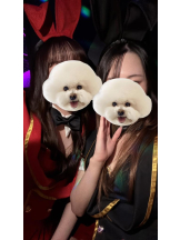 バニーハント - りりの女の子ブログ画像