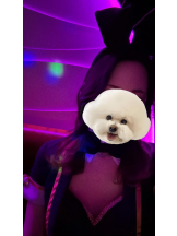 バニーハント - りりの女の子ブログ画像