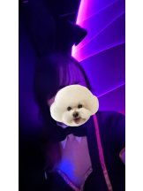 バニーハント - りりの女の子ブログ画像