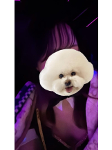 バニーハント - りりの女の子ブログ画像