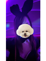 バニーハント - りりの女の子ブログ画像