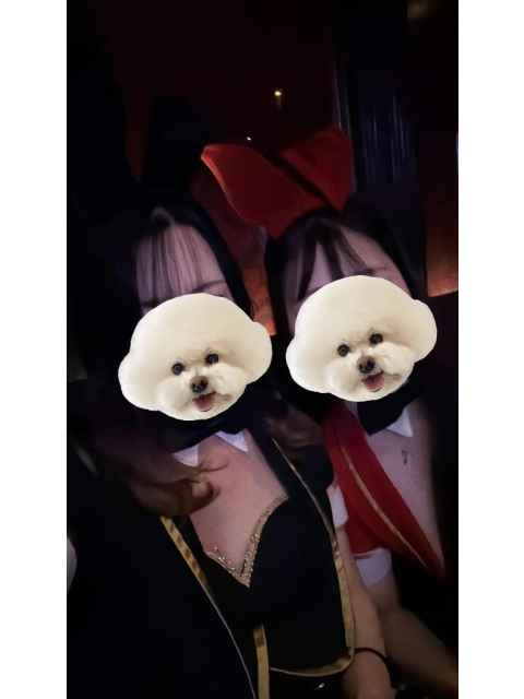 女の子ブログ添付画像1