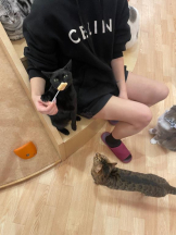 バニーハント - れんの女の子ブログ画像