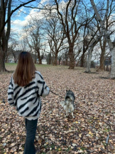 バニーハント - ゆかの女の子ブログ画像