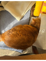 まいっちんぐ - あみ先生の女の子ブログ画像