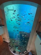 まいっちんぐ - あみ先生の女の子ブログ画像