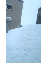 まいっちんぐ - あみ先生の女の子ブログ画像