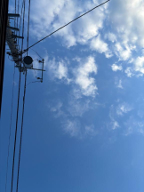 まいっちんぐ - あみ先生の女の子ブログ画像