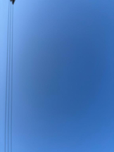 まいっちんぐ - あみ先生の女の子ブログ画像